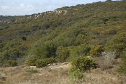 Photo taken at Fort Ord © 2007 by Dylan Neubauer 